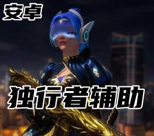 CSGO5E平台-独行者辅助（5E防封）