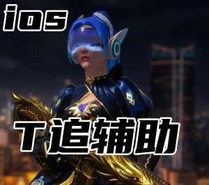 无畏契约T追辅助（官匹平台超稳防封）