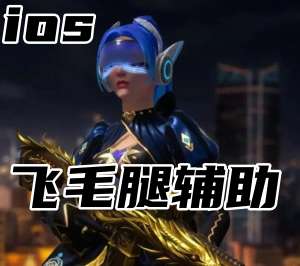 无畏契约飞毛腿辅助（稳定官匹大地球）